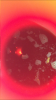 upload_2019-3-24_16-24-21.png upload_2019-3-24_16-24-21.png