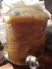 IMG-1936.JPG
