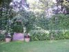 100_2190.jpg