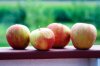 Home Grown Honeycrisp Apples 2019.jpg