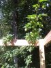 image-1746429852.jpg