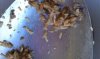 ForumRunner_20120805_155954.jpg