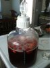 image-2672704762.jpg
