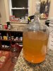 carboy 1 mo cider.jpg