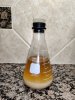 Yeast 2.jpg