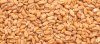 11-Best-Wheat-Malt.jpg