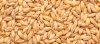 04-Best-Pale-Ale-Malt.jpg