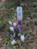 IMG_20200328_175959.jpg