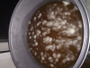 beer2.png