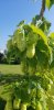 20200810_093927.jpg