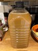 Cider.jpg
