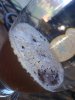 20201230_143208.jpg