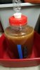 3 gallons Christmas spice BOMM.jpeg 3 gallons Christmas spice BOMM.jpeg
