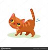 depositphotos_214762956-stock-illustration-naughty-kitten-peeing-on-the.jpg