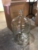 Carboy.jpg