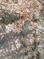 20210525_114930.jpg