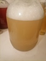 onion mead.jpg