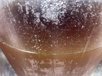 3553E736-5F8A-4554-8500-94C0101BA3DF.jpeg
