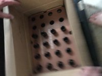 IMG_3157.jpeg