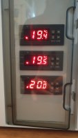 20220313_110810.jpg