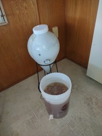 IMG_20220424_122521679.jpg