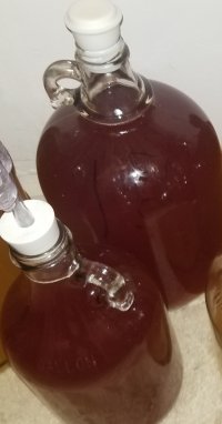 Blood Orange Mead.jpg