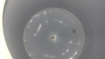20130610_210453.jpg