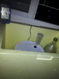 20140929_061054.jpg