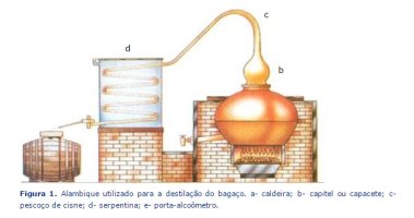Grappa.jpg