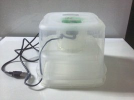 20160219_061604.jpg