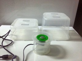 20160219_061655.jpg