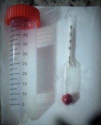 IMG_20160303_174455_316-1.jpg