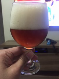 IPA.JPG