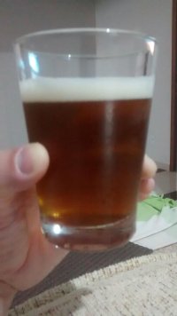 apa2-2.jpg