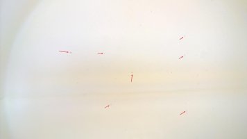 WP_20161126_14_36_30_Pro.jpg