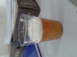primeira APA prÃ©-envase sem primming em 29062017.jpg