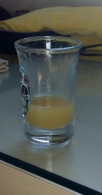 P_20170725_094942_1.jpg