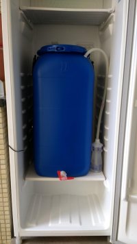 IMG_20170805_095920033v2.jpg