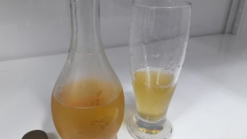 Hidromel.jpg