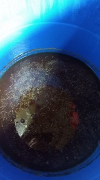 IMG-20180930-WA0021.jpeg