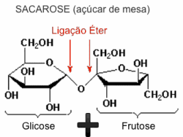 sacarose.png