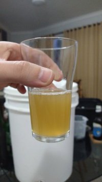 IMG_20220706_180436.jpg