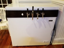 01 21 23 keezer with first frame on top.jpg