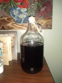 elderberry mead.jpg