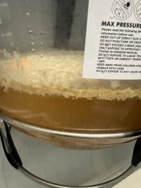 Fermentation Krausen.jpg