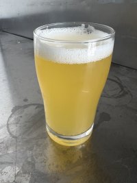 IMG_6767.jpeg