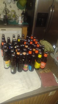 IMG_20240608_102321710.jpg
