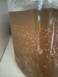 IMG_8730.jpeg