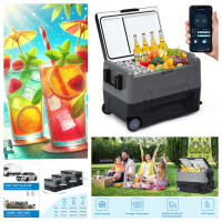 car refrigerator.png