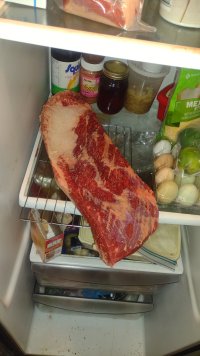 IMG_20240703_212546951.jpg